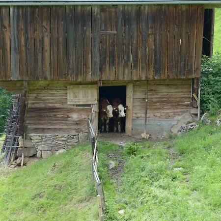 Bergpension-Ebental 布利克森塔勒 外观 照片