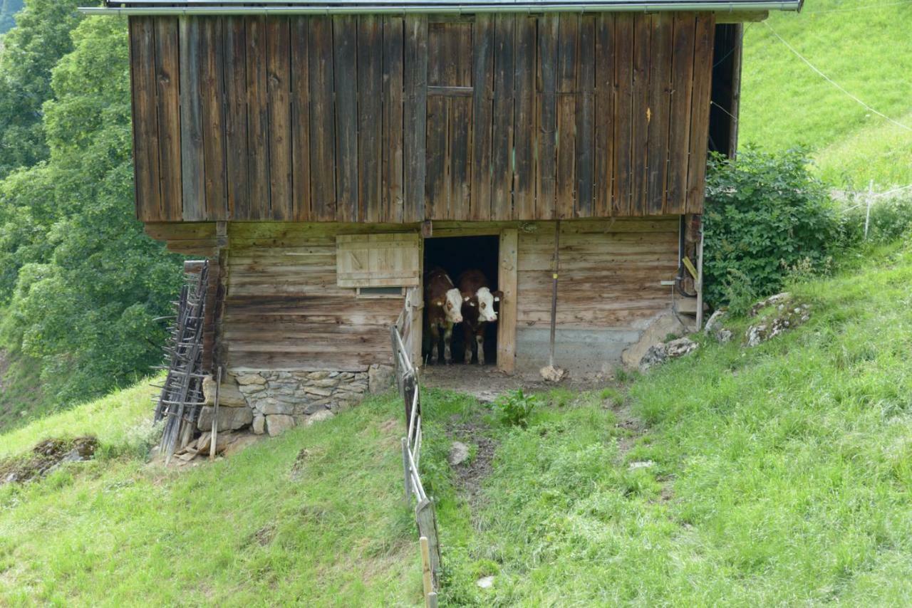Bergpension-Ebental 布利克森塔勒 外观 照片